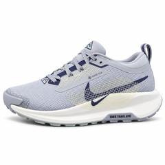 Nike Pegasus Trail 5 GORE-TEX – Light Grey/Purple